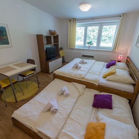 ליפנו נאד וויטאבו Apartman Lipno 20 מראה חיצוני תמונה