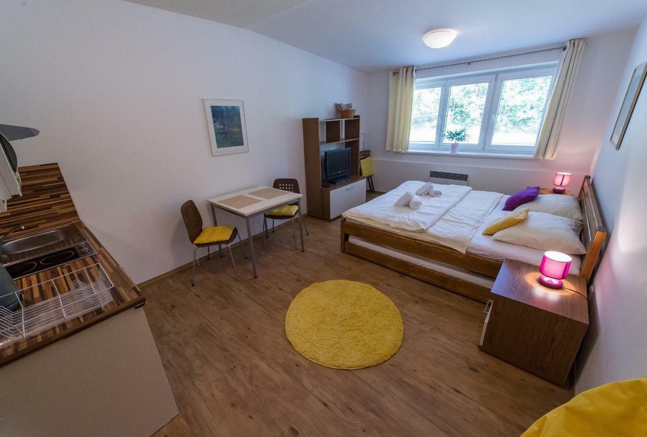 ליפנו נאד וויטאבו Apartman Lipno 20 מראה חיצוני תמונה