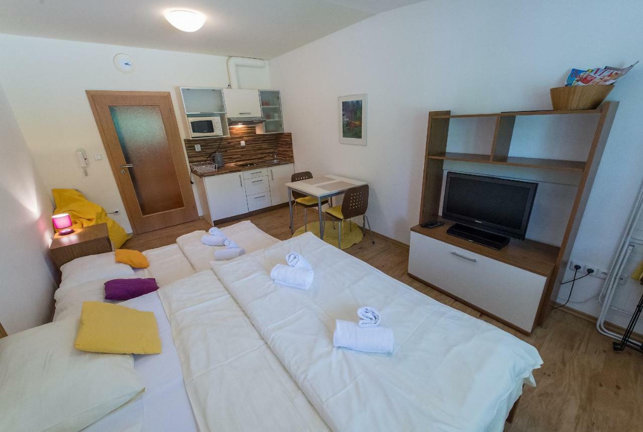 ליפנו נאד וויטאבו Apartman Lipno 20 מראה חיצוני תמונה