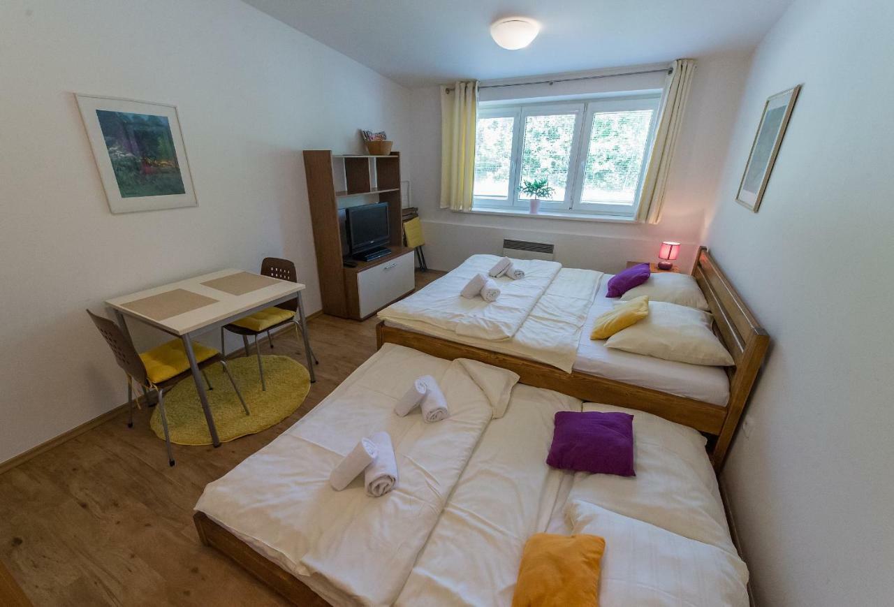 ליפנו נאד וויטאבו Apartman Lipno 20 מראה חיצוני תמונה